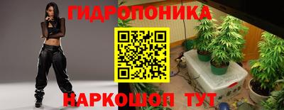 скорость Аргун