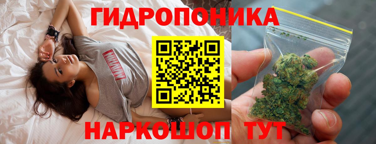 Марихуана Ganja  Вход с VPN  Бийск  Конопля White Widow  Конопля марихуана 